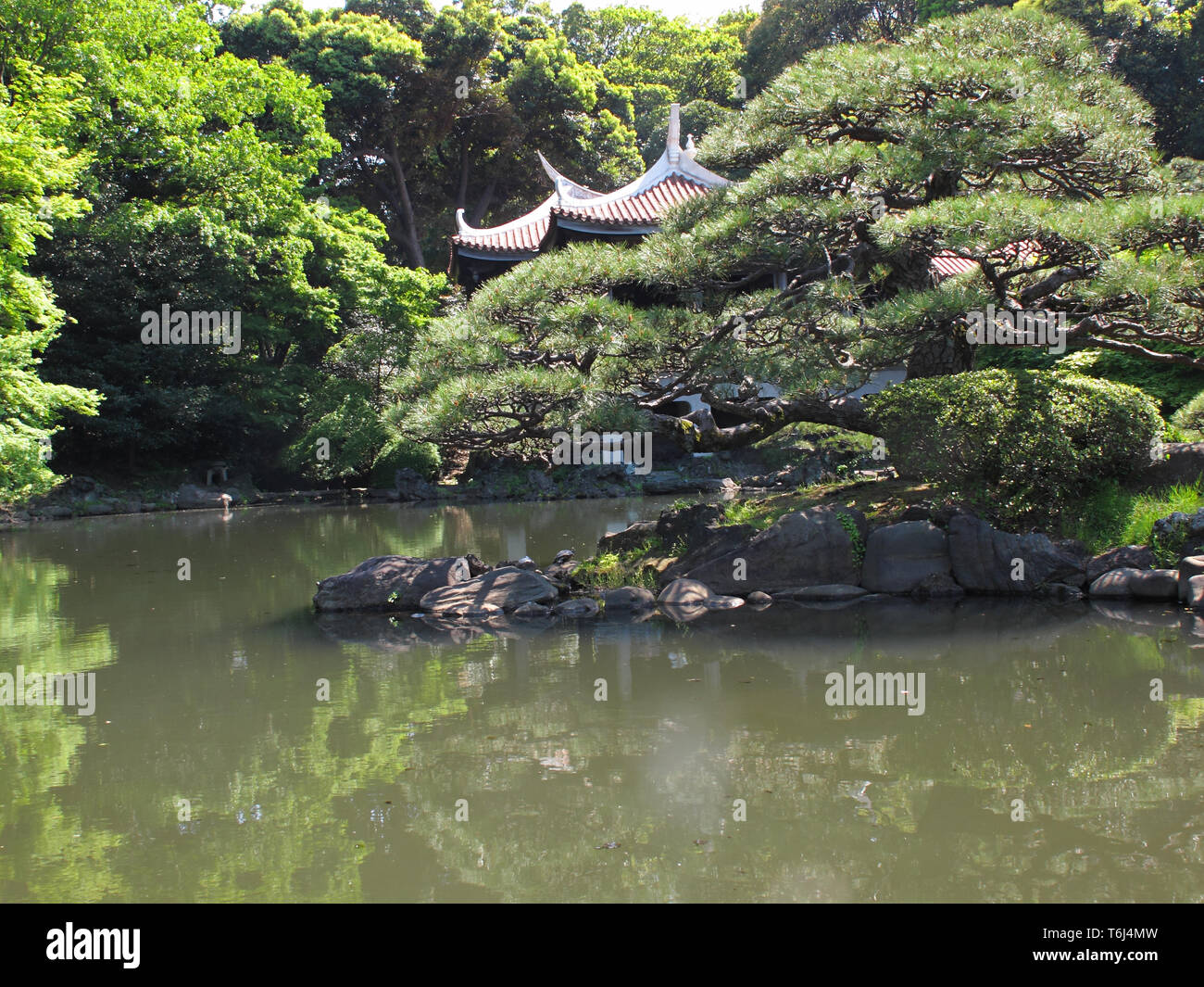 Shinjuku Gyoen National Garden in Tokyo Stock Photo - Alamy