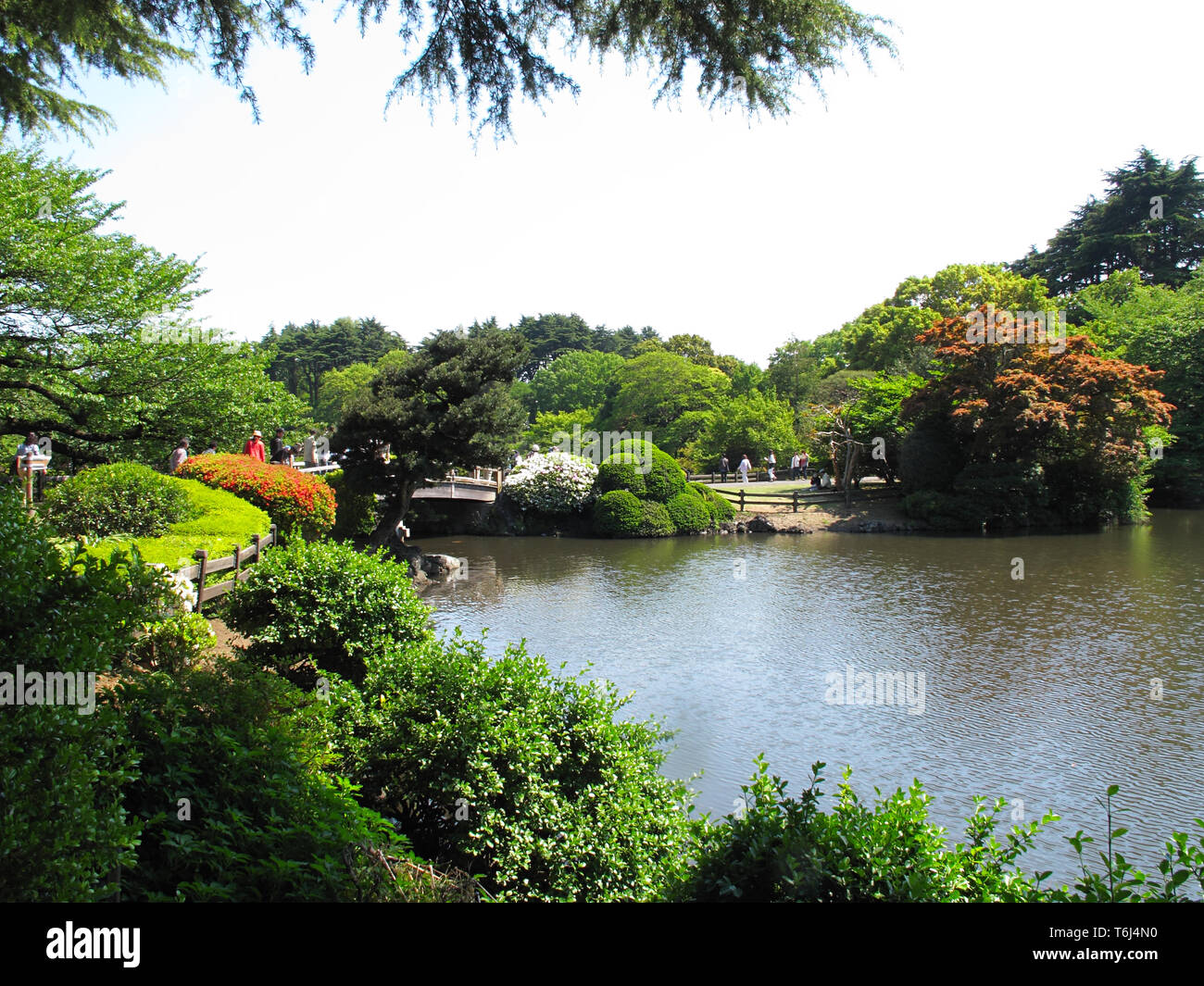 Shinjuku Gyoen National Garden in Tokyo Stock Photo - Alamy