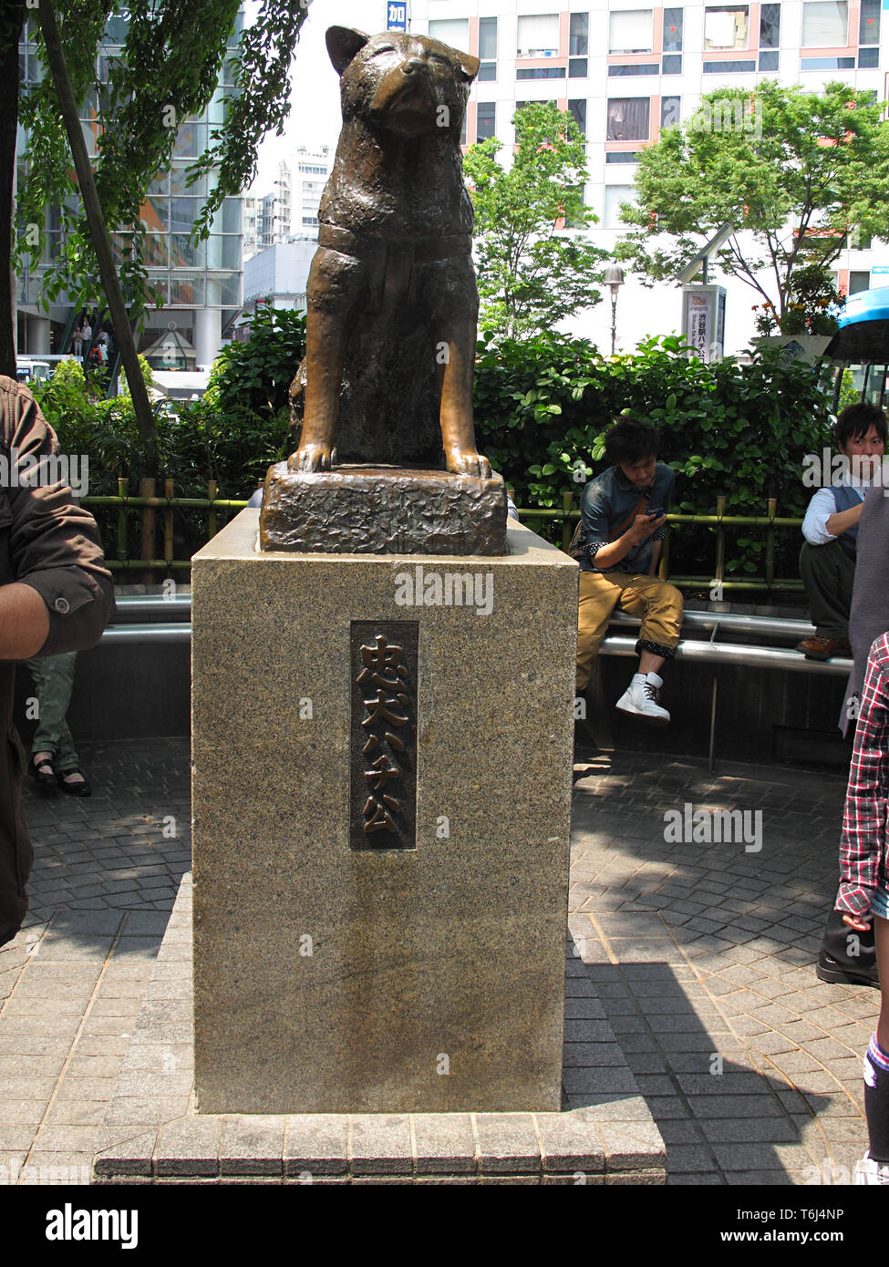 A statue of the famous dog Hachiko, outside of Shibuya Station in Shibuya, Tokyo Japan. Stock Photo