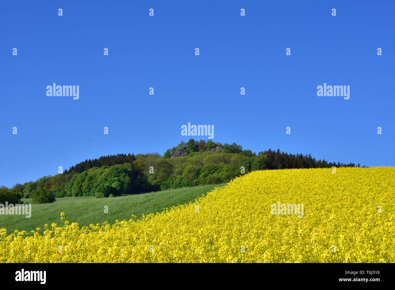 Spitzberg hi-res stock photography and images - Alamy