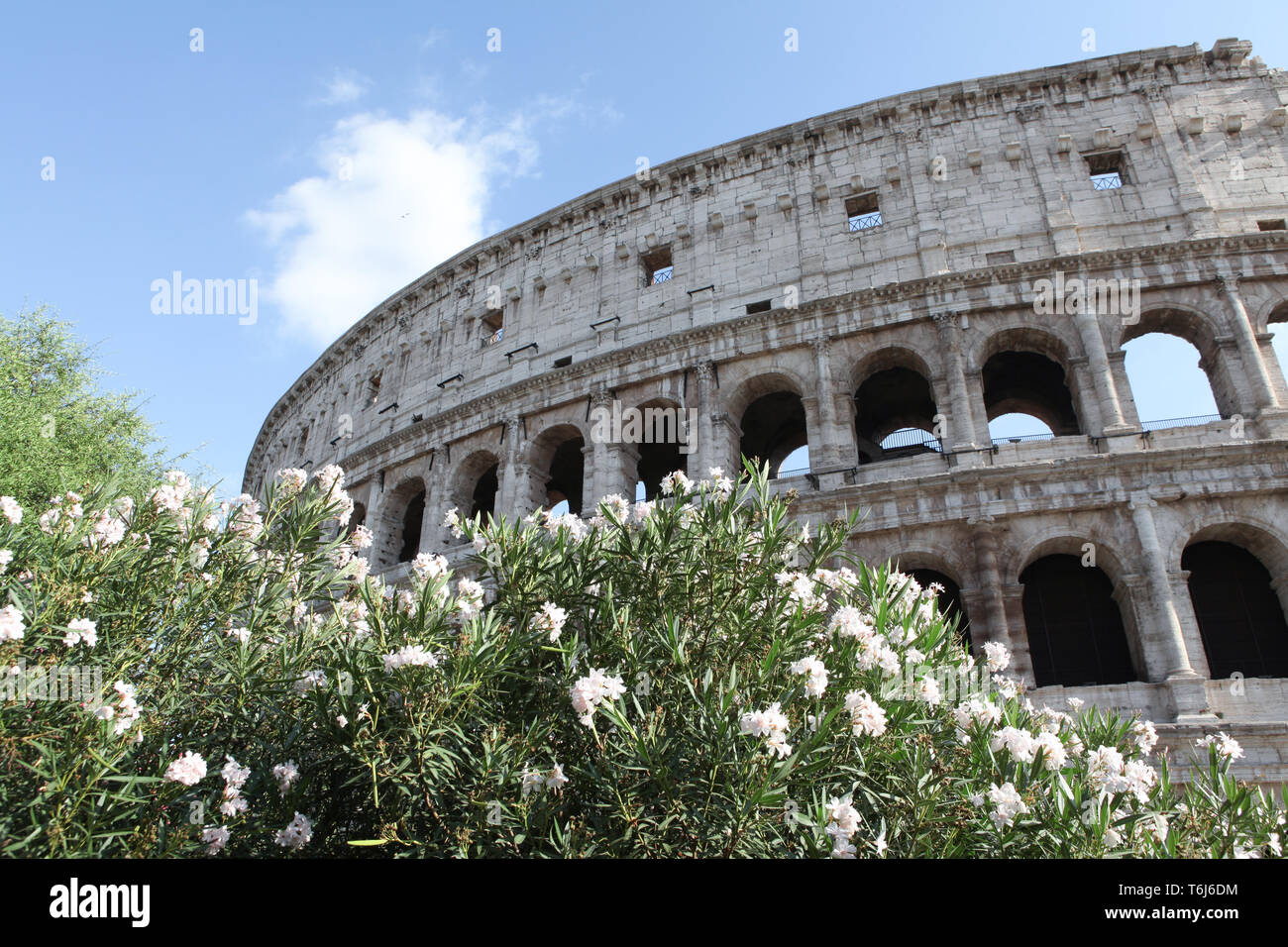 Coluseeum Rome High Res Colosseum historical building rome hi-res stock photography and images ...