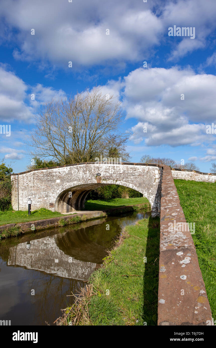 Canal bridge over the trent and mersey hi-res stock photography and ...