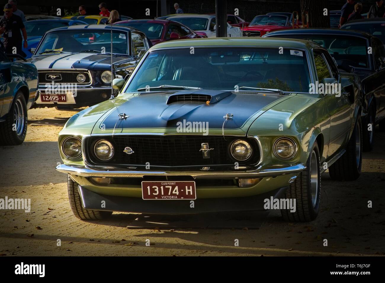 Green 1969 Mach 1 on show at 2019 Mustang Nationals Melbourne, with blue 1968 Fastback and others in the background on Birrarung Marr Stock Photo