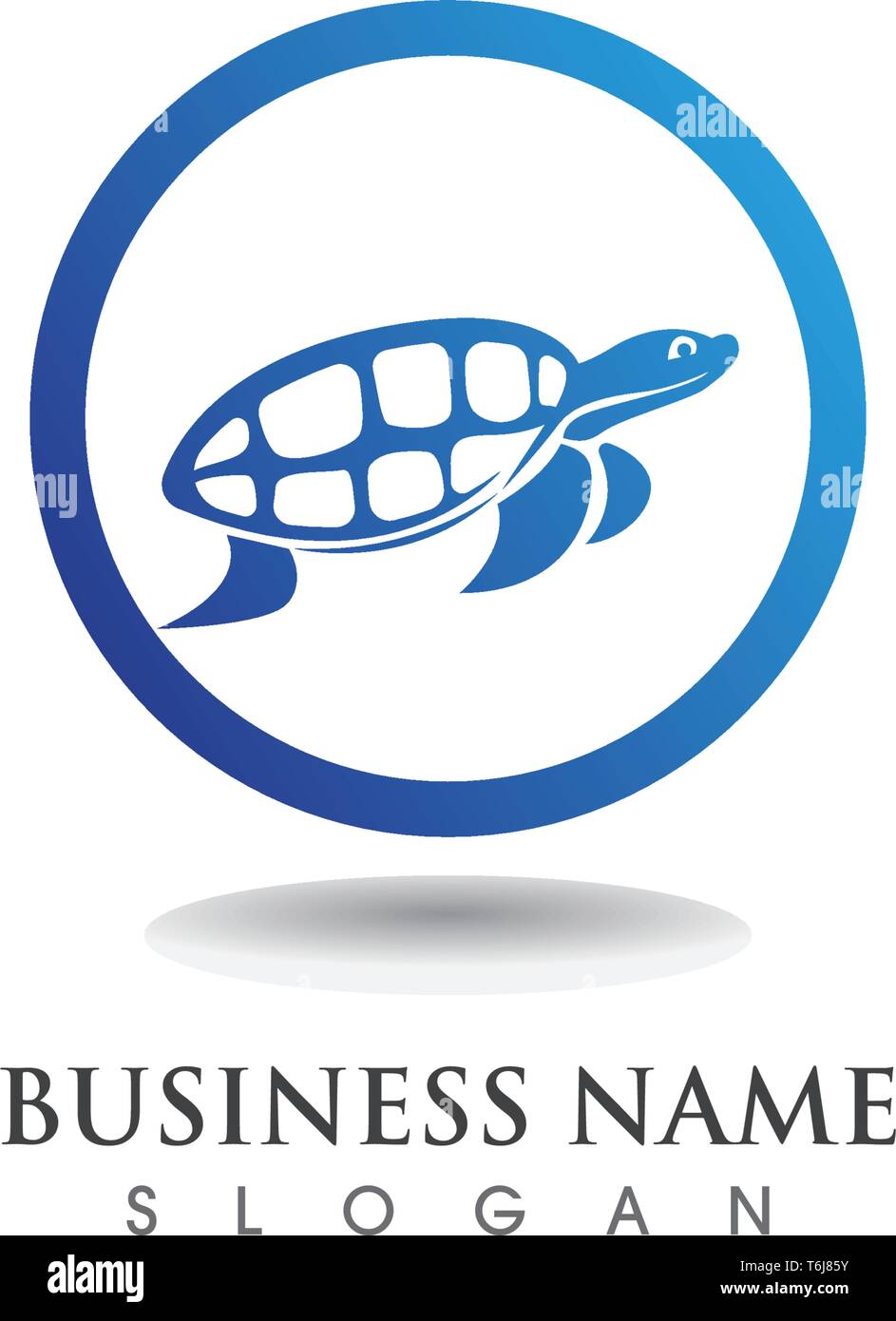 Turtle shell top view Stock Vector Images - Alamy