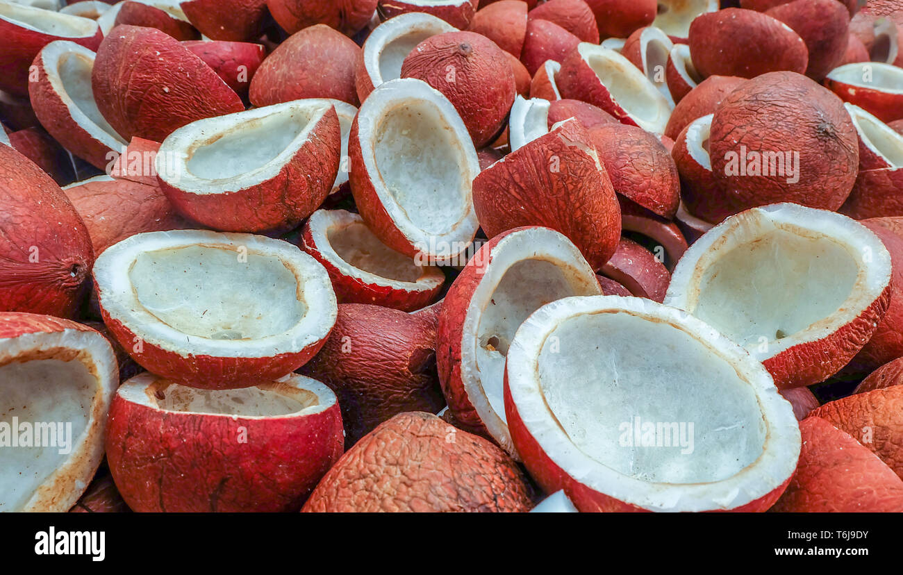 Pile of coconuts meat Half cut Suitable for making background images