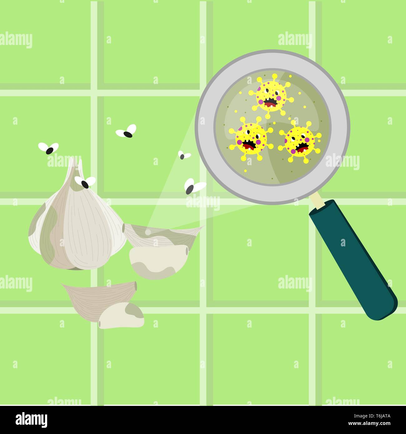 Garlic bulb contaminated with cartoon microbes. Microorganisms, virus and bacteria in the vegetable enlarged by a magnifying glass. Angry microbes car Stock Vector
