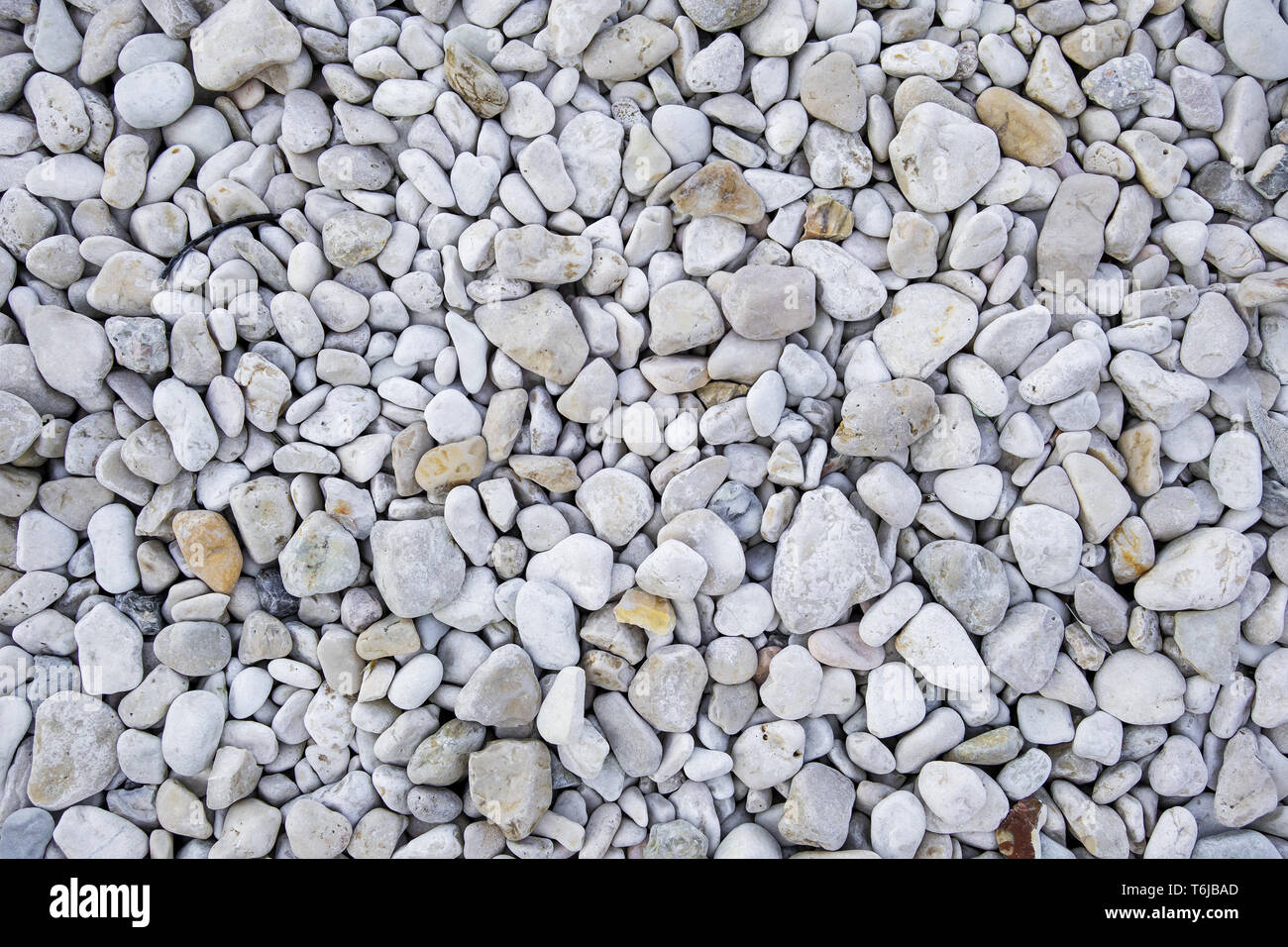 white pebbles background Stock Photo