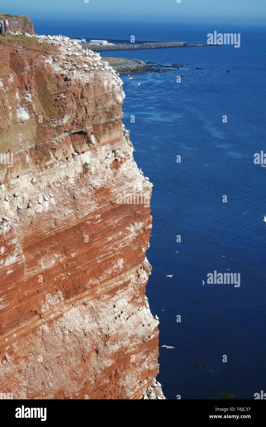 Rock cliff on Helgoland Stock Photo