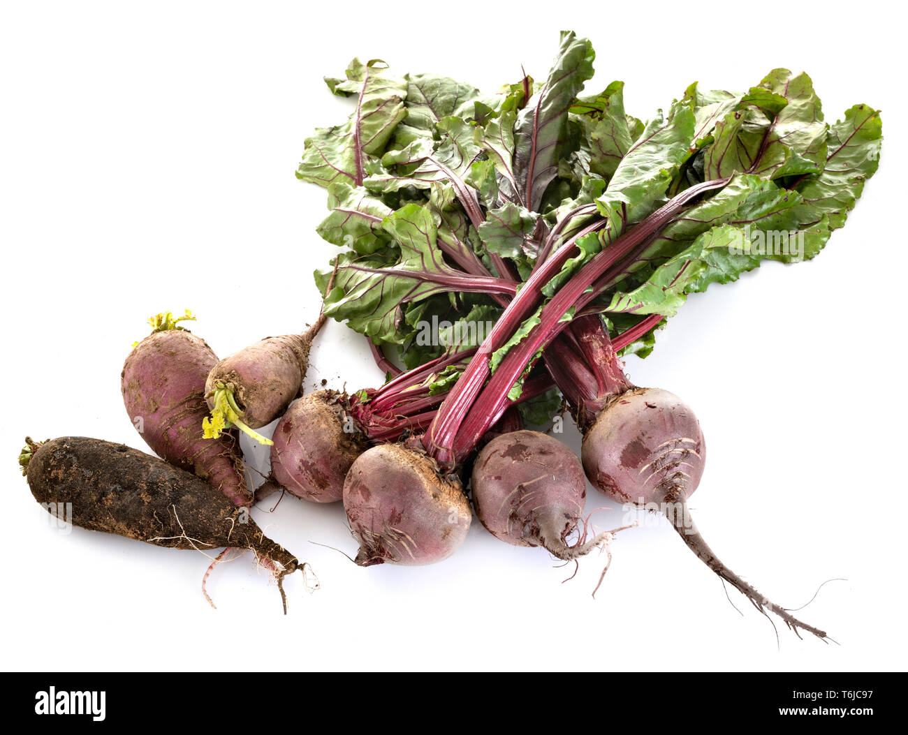 fresh vegetables in front of white background Stock Photo - Alamy