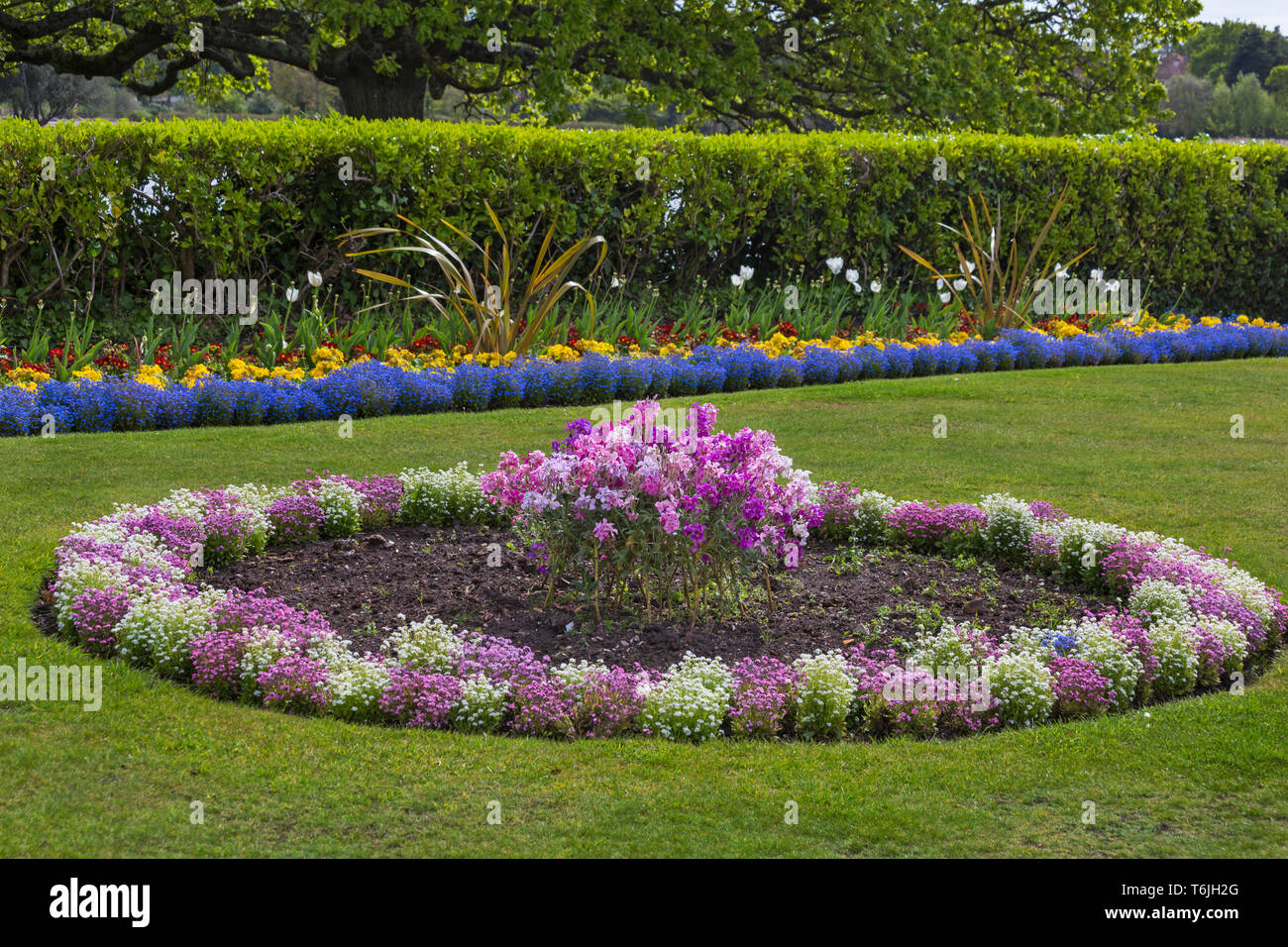 Colourful flower beds in Poole Park, Poole, Dorset UK in April Stock