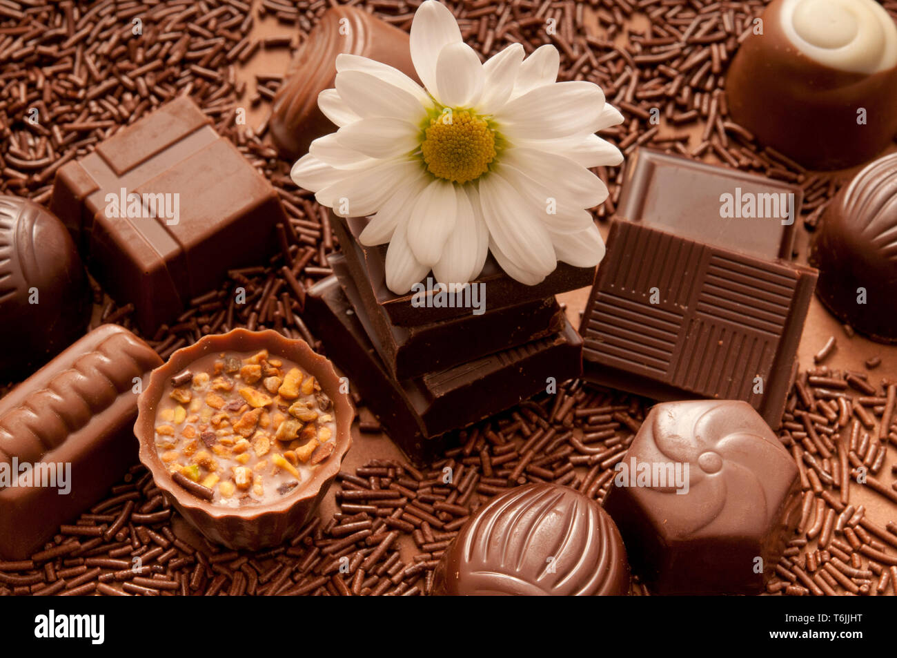 variety of chocolate truffles and pralines Stock Photo