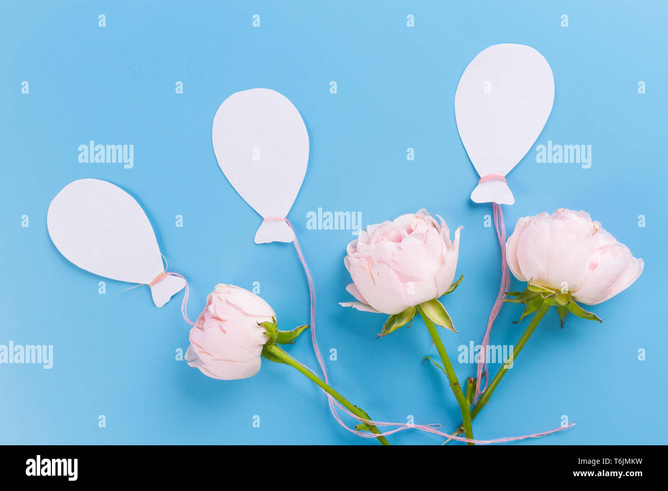 air balloons and flowers on blue background Stock Photo - Alamy, image size:1300x956