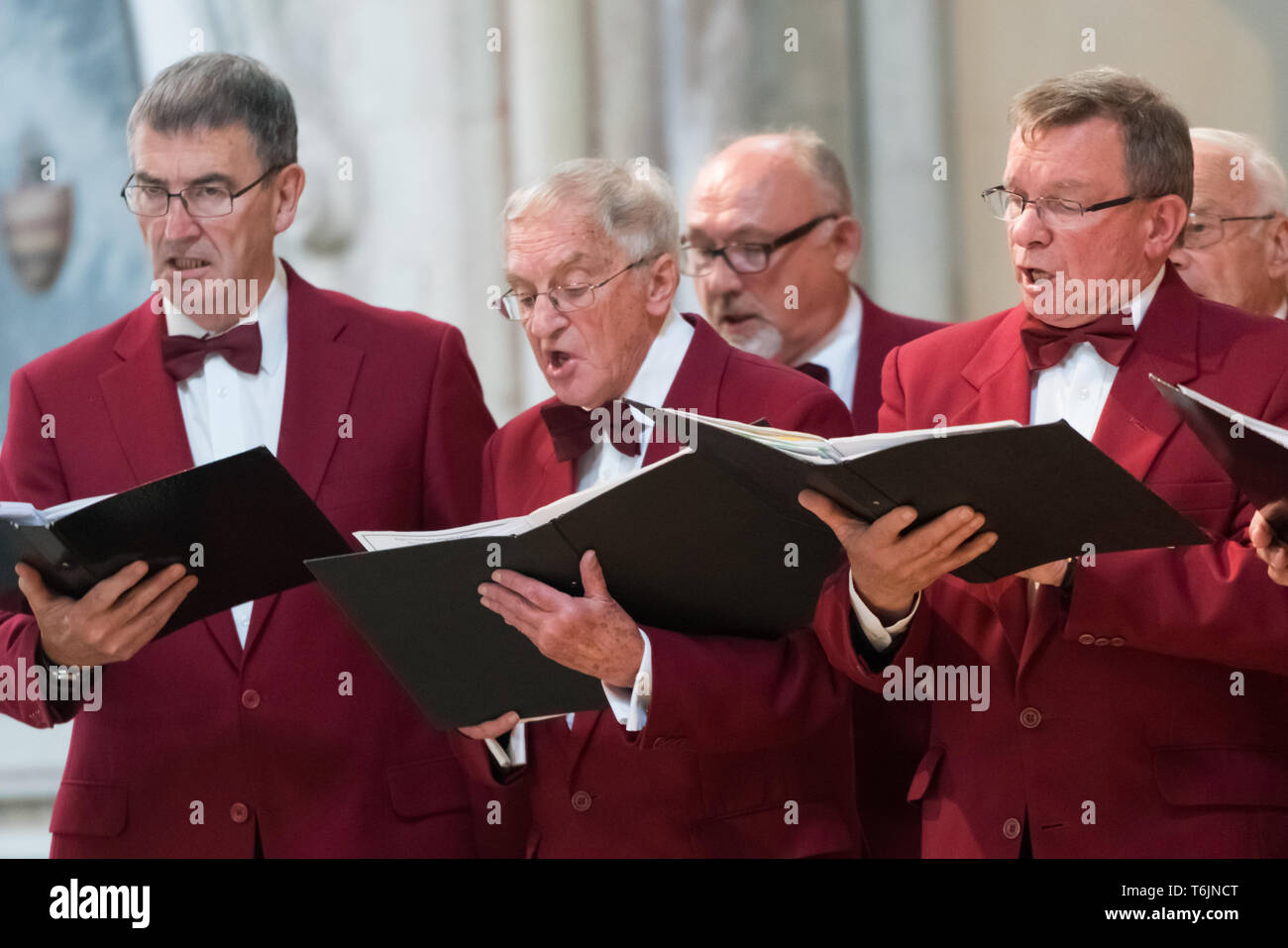 Mens choir performing in a cathedral Stock Photo Alamy