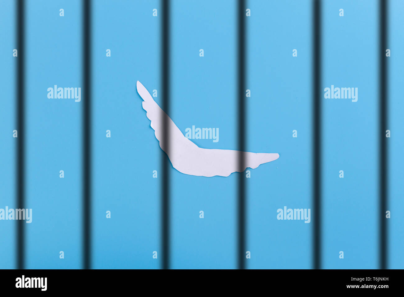 animals suffer in the zoo. concept image Stock Photo Alamy