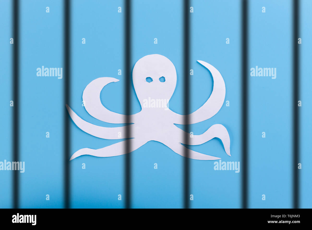 animals suffer in the zoo. concept image Stock Photo Alamy