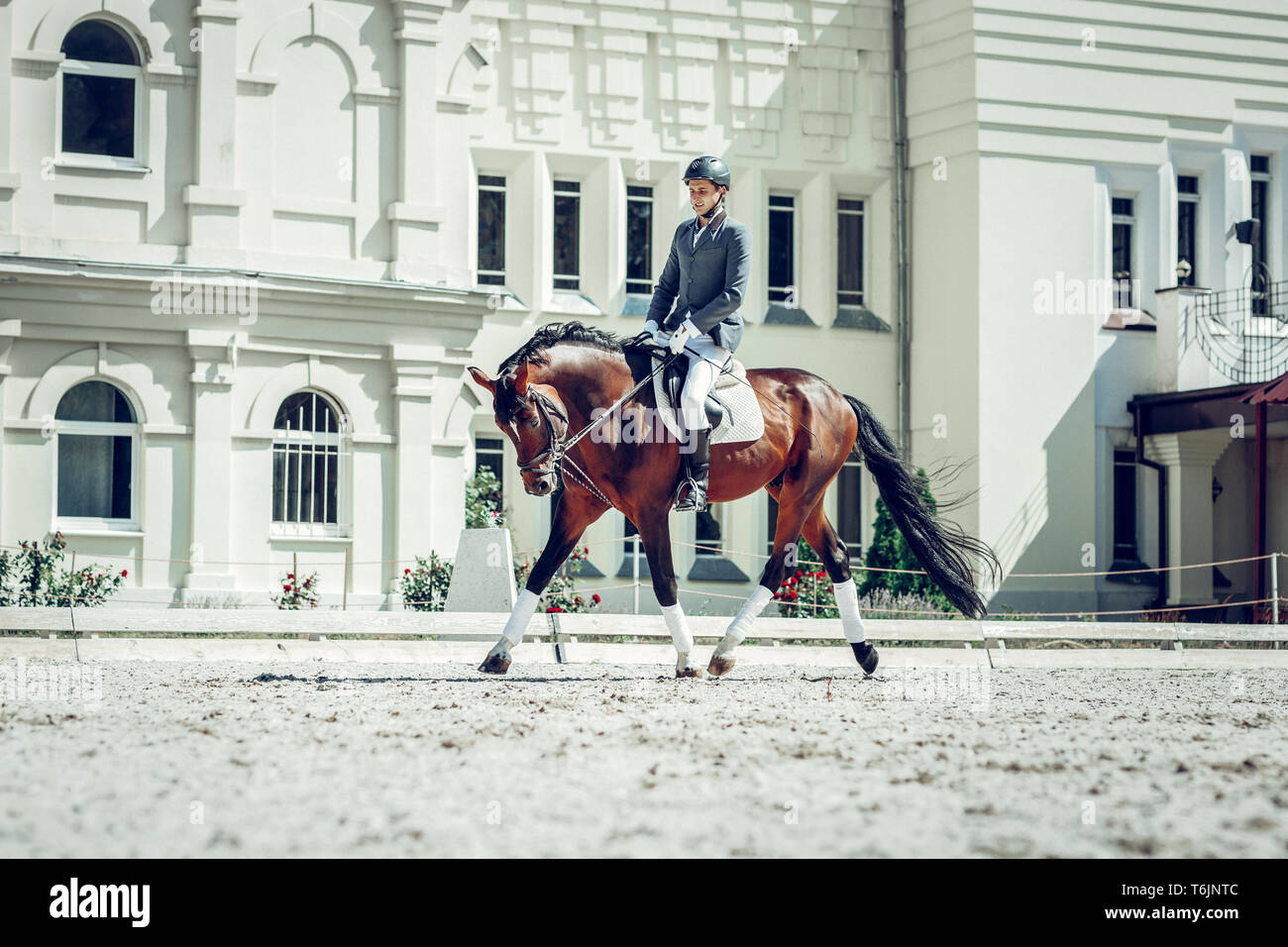 Skilled horse riding hi-res stock photography and images - Alamy