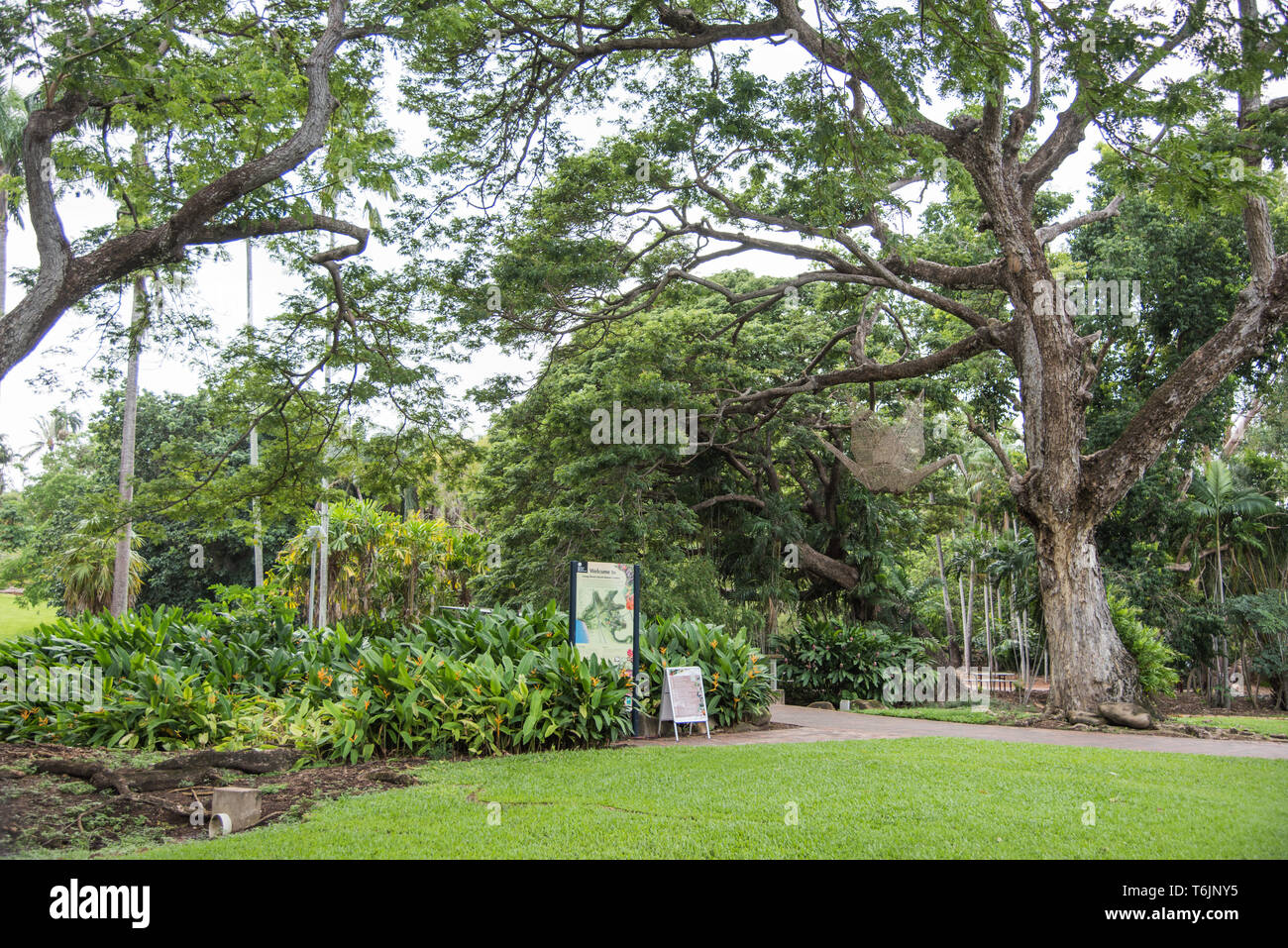 Darwin botanic gardens australia hires stock photography and images