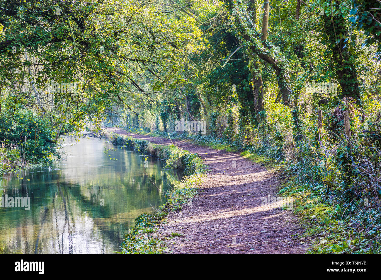 An early Spring morning along the Thames footpath. Stock Photo
