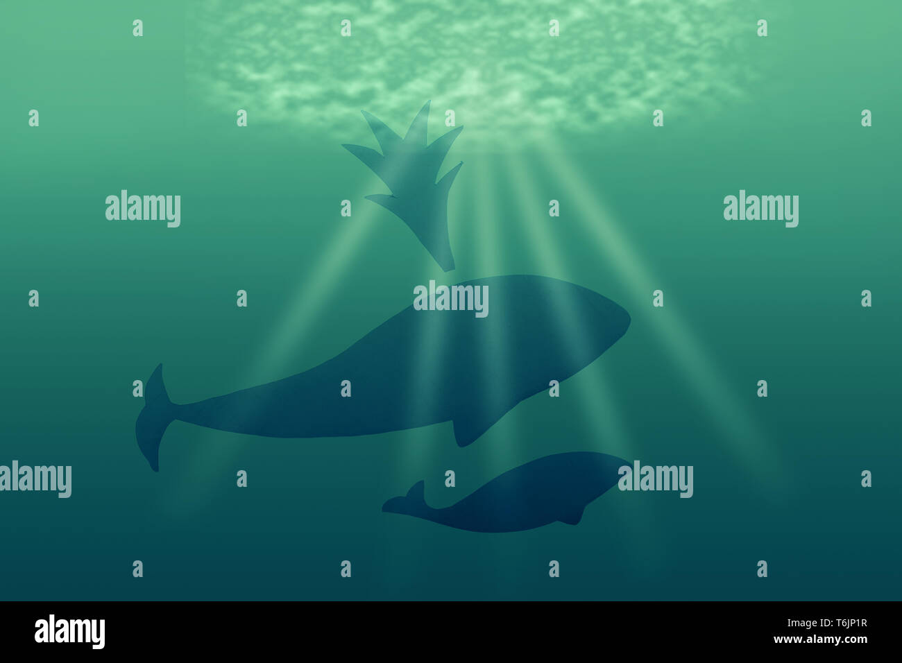 mother whale with its child in the ocean Stock Photo - Alamy