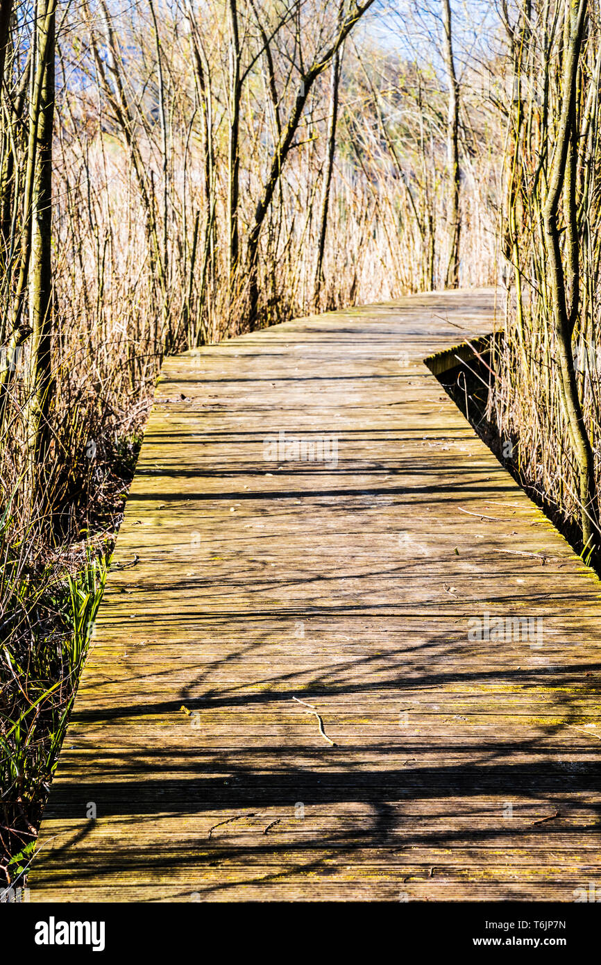 A boardwalk on one of the lakes at Cotswold Water Park. Stock Photo