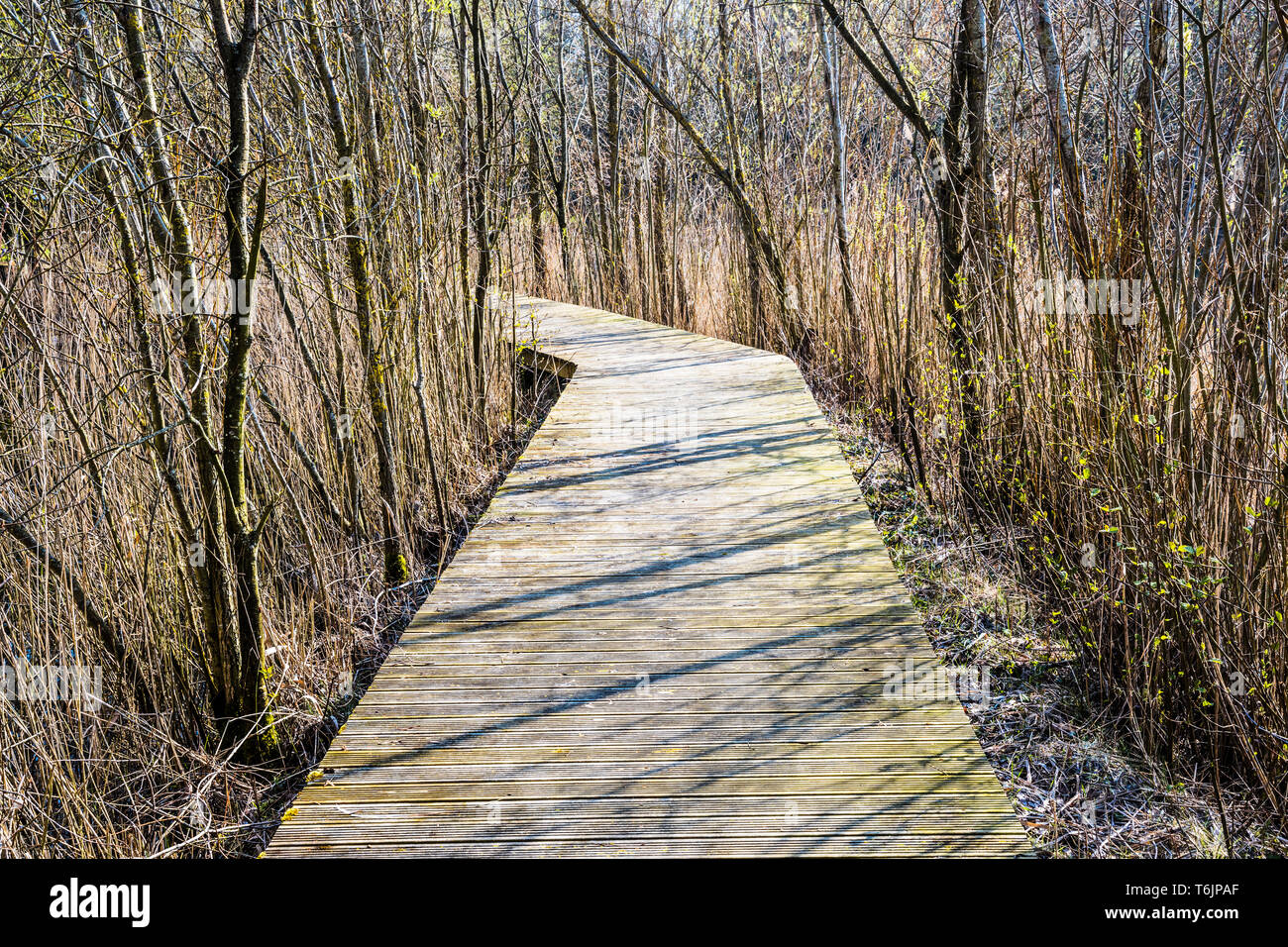 A boardwalk on one of the lakes at Cotswold Water Park. Stock Photo