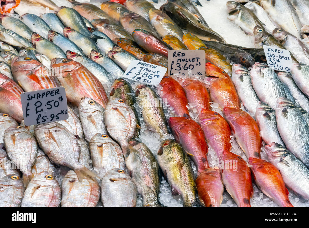 Fresh fish for sale at a market in London, Great Britain Stock Photo
