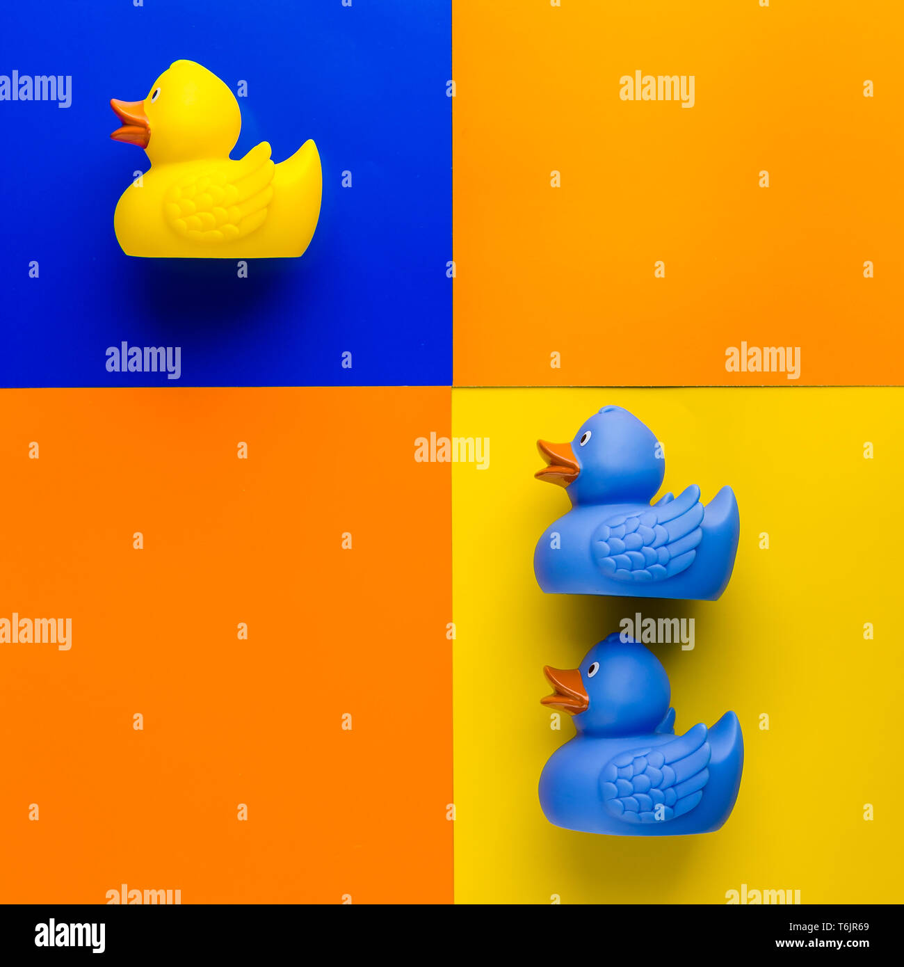Yellow and blue rubber ducks Stock Photo Alamy