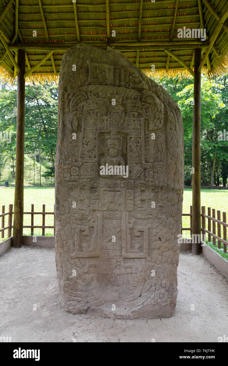 Mayan ruins - Standing stone Stele K erected by ruler Jade Sky in the 9th century AD; Quirigua UNESCO World Heritage site, Guatemala Central America Stock Photo