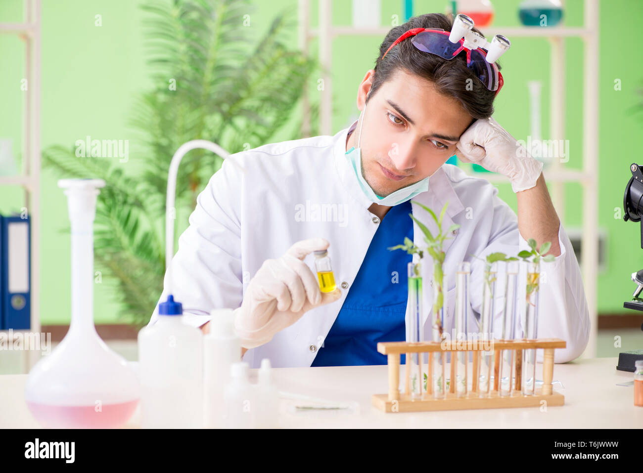 The young biotechnology scientist chemist working in lab Stock Photo ...