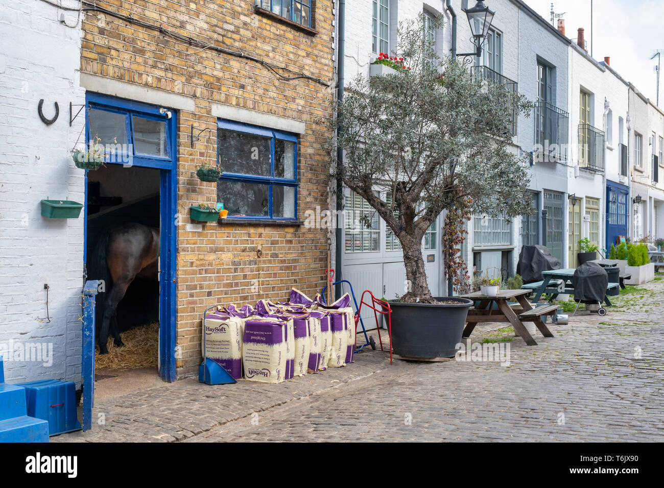 Bathurst Mews stables, Hyde park estate, Bayswater, London, England Stock Photo
