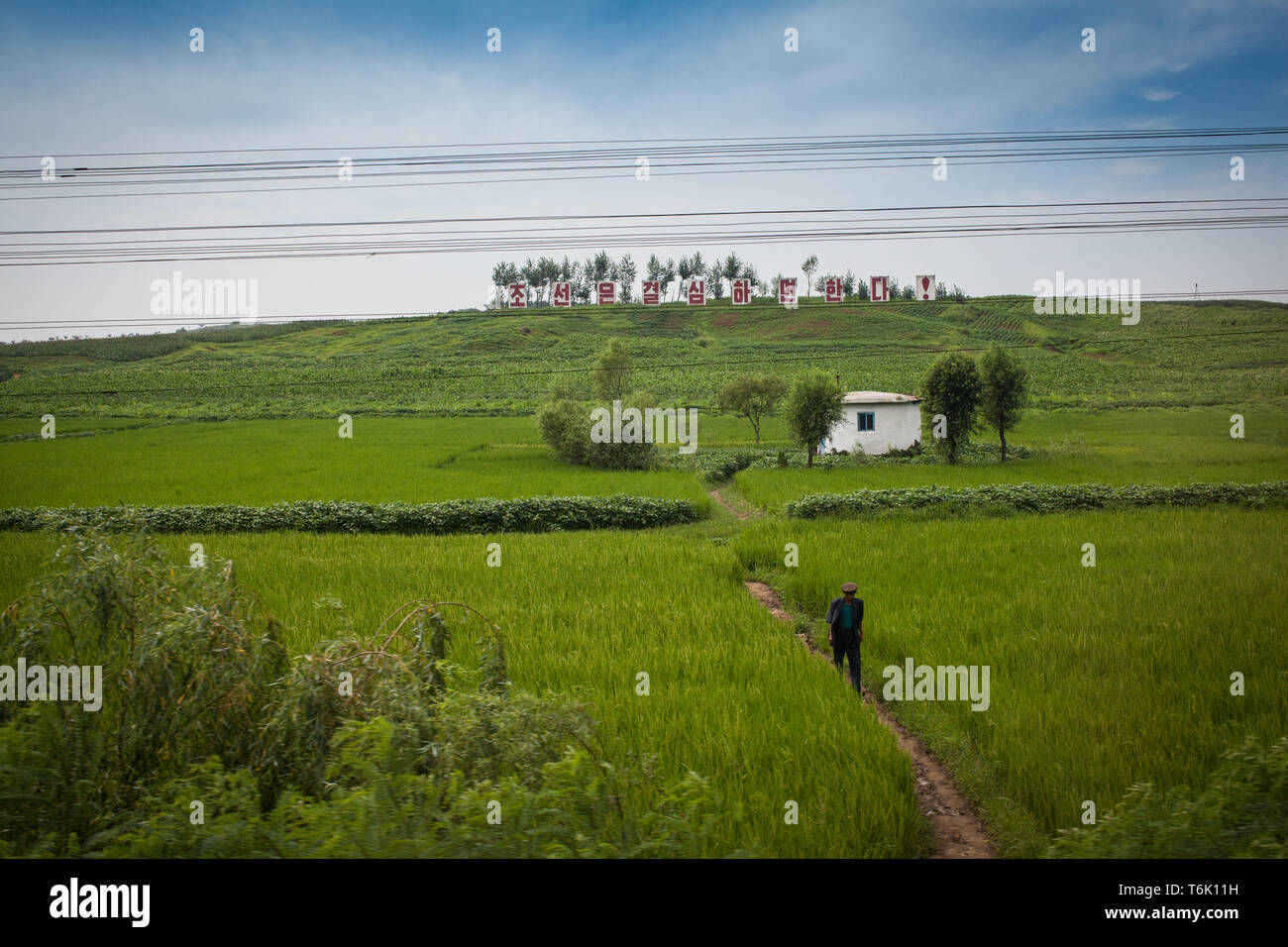 Between Dandong and Pyongyang, rural scenes show technified agriculture but no advertising.  Signs encourage patriotic and revolutionary values and wa Stock Photo