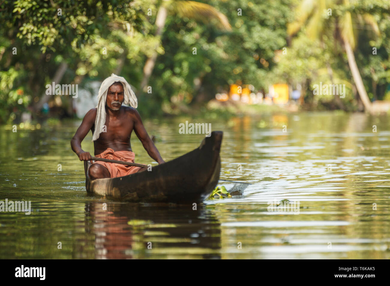Old man of the jungle hi-res stock photography and images - Alamy