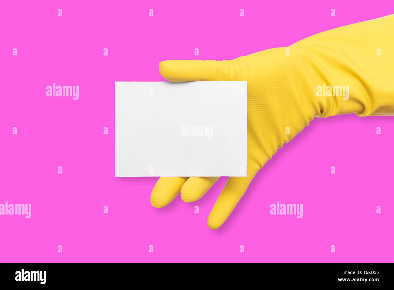A rubber-gloved hand holds a white blank business card on pink background. Stock Photo