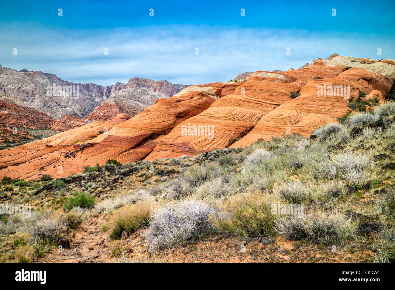 White Navajo Sandstones in Snow Canyon State Park, Utah Stock Photo
