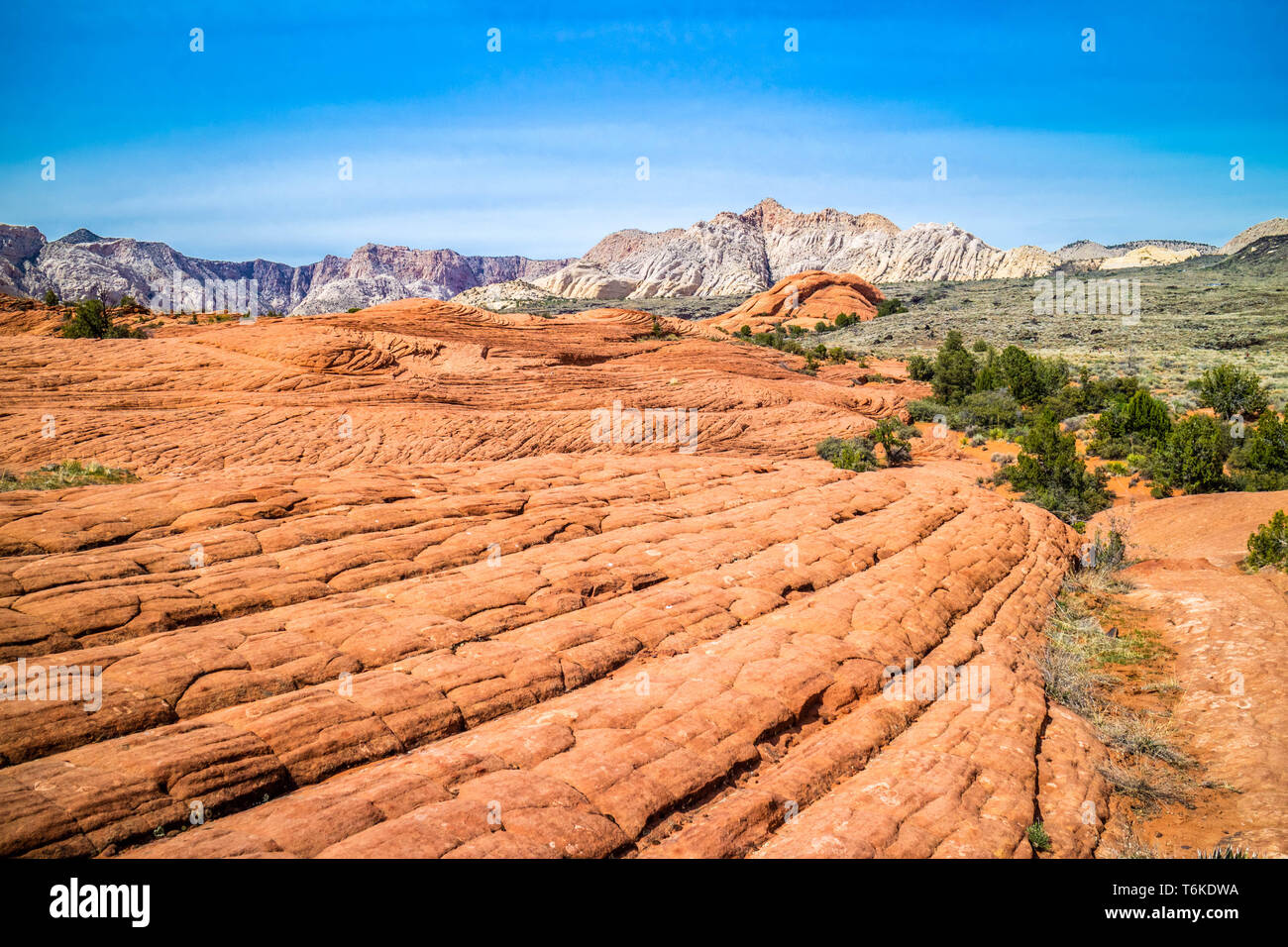White Navajo Sandstones in Snow Canyon State Park, Utah Stock Photo