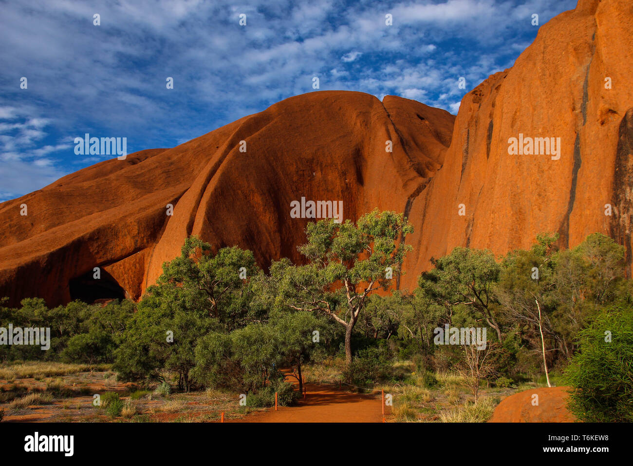 Desert Woodland Infront Of The Ayers Rock Or Uluru In The Red Heart Of Australia Stock Photo