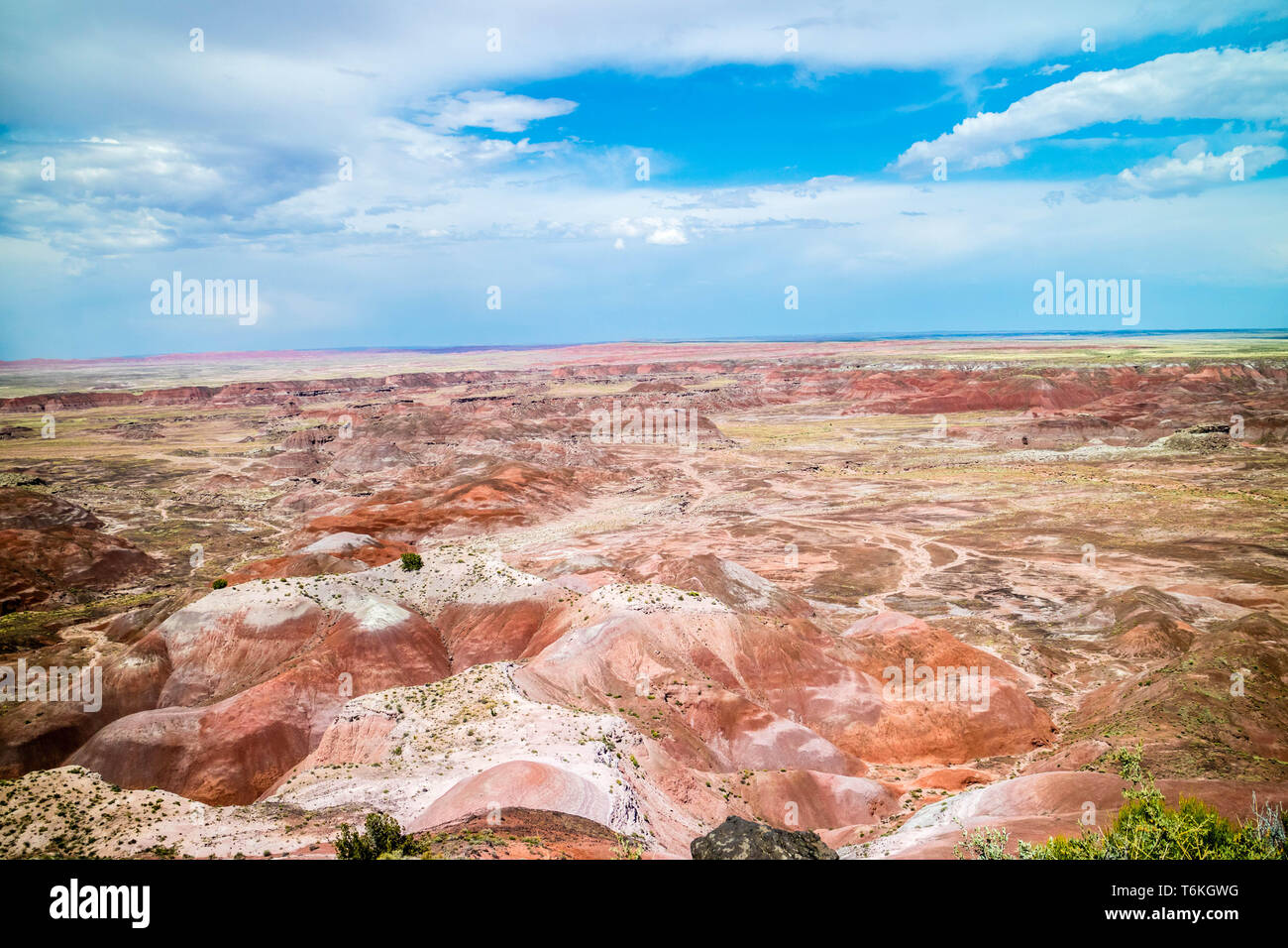 Pintado point hi-res stock photography and images - Alamy