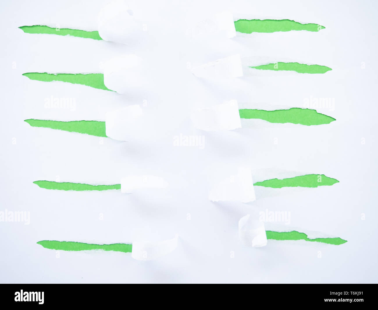 Torn white paper isolated on green Stock Photo