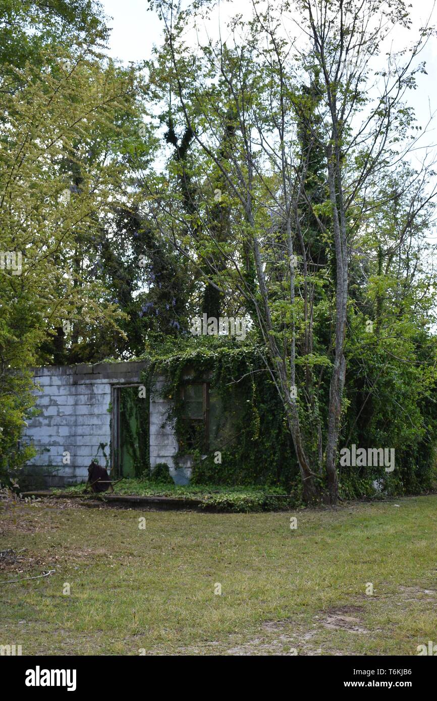 Old forgotten farm hand home reclaimed by nature. Stock Photo