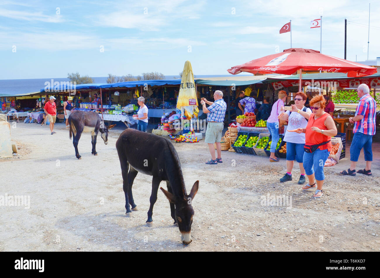 Dipkarpaz, Karpas Peninsula, Northern Cyprus - Oct 3rd 2018: Several older tourists taking pictures of wild donkeys with phones. Taken on a traditional market with fruit and souvenirs. Stock Photo