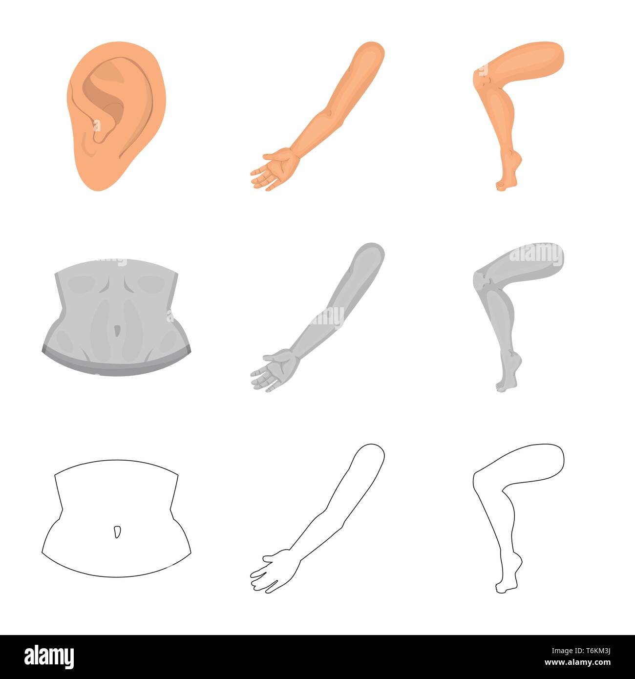 Vector design of body and part icon. Set of body and anatomy vector ...