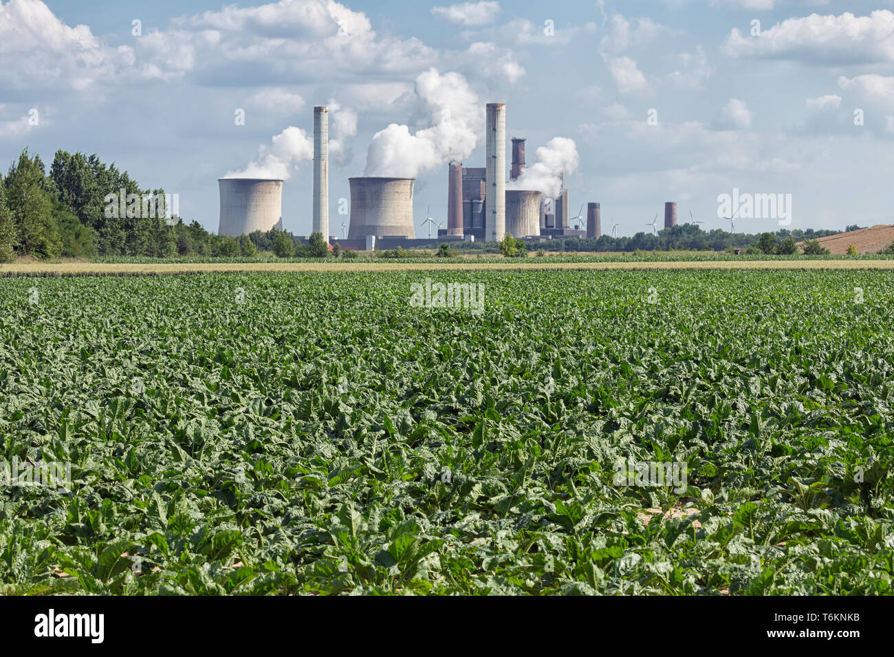 Coal-fired power plant near lignite mine Inden in Germany Stock Photo