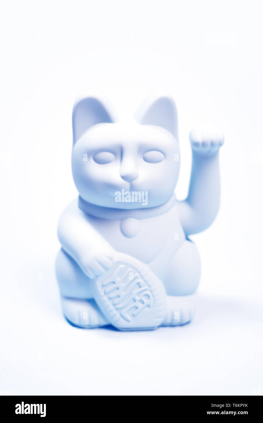 Japanese lucky cat on white background Stock Photo Alamy