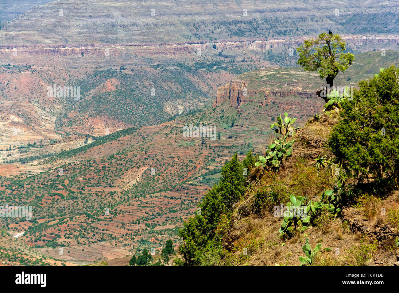 Aethiopen hi-res stock photography and images - Alamy