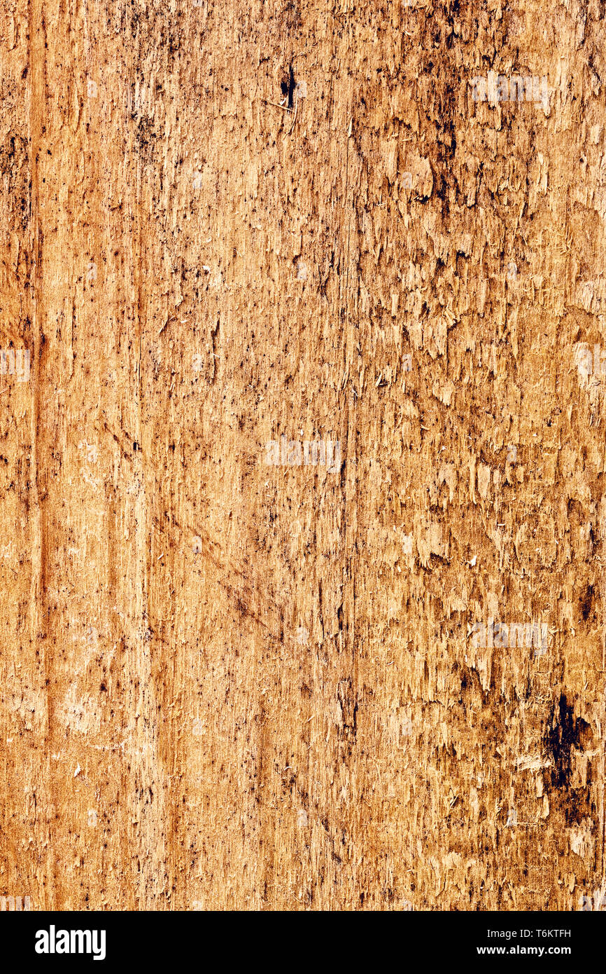 Pinewood background hi res stock photography and images Alamy