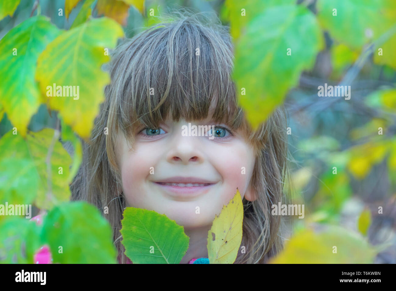 Little girl face between the leaves in the park. Stock Photo