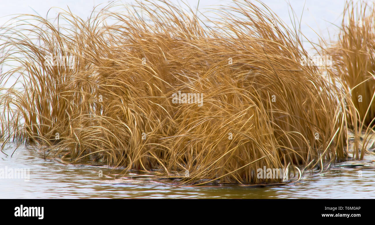 Scenes at Frank Lake Stock Photo