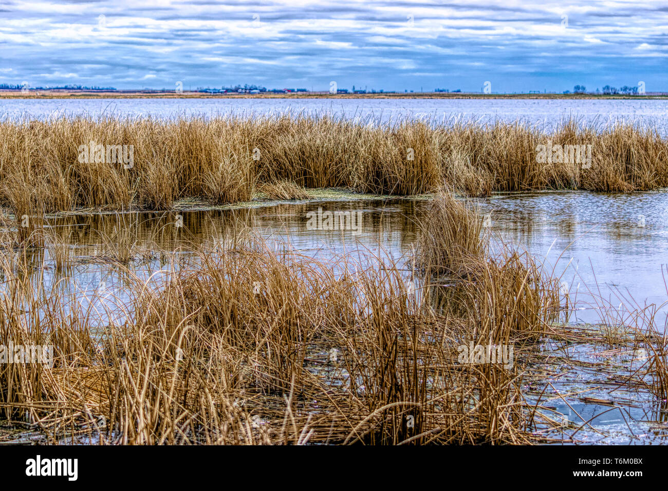 Scenes at Frank Lake Stock Photo