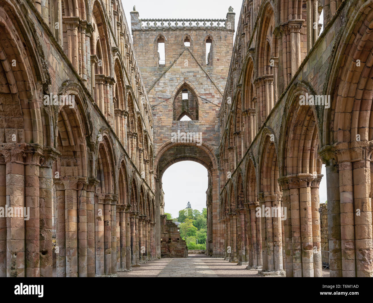 View at ruins of Jedburgh abbey in Scottish borders Stock Photo Alamy