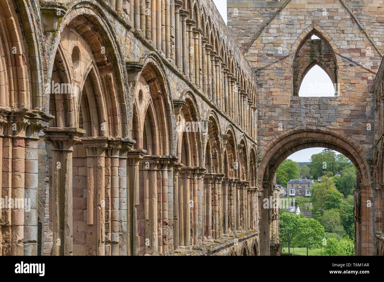 View at ruins of Jedburgh abbey in Scottish borders Stock Photo Alamy